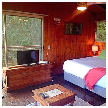 Kondalilla Eco Resort - Tourism Caloundra 50