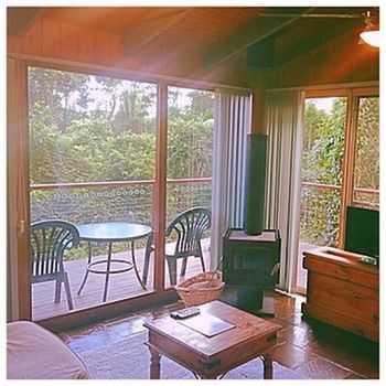 Kondalilla Eco Resort - Tourism Caloundra 89