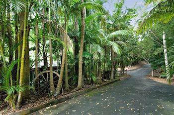 Kondalilla Eco Resort - Tourism Caloundra 94