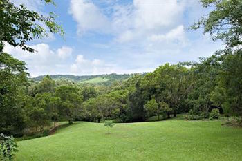 Kondalilla Eco Resort - Tourism Caloundra 97