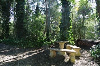 Kondalilla Eco Resort - Tourism Caloundra 98