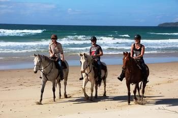Sunset Cove Noosa - Tourism Caloundra 24