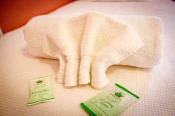 Hotel Avonleigh - Tourism Caloundra 26