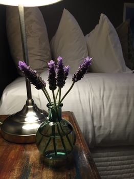 Lilies Luxury Retreats - Tourism Caloundra 51