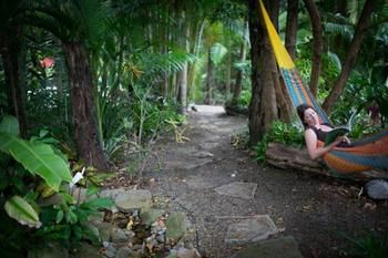 Noosa Valley Manor B&B Retreat - Tourism Caloundra 4