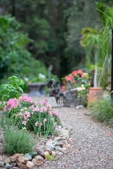 Noosa Valley Manor B&B Retreat - Tourism Caloundra 12