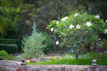 Noosa Valley Manor B&B Retreat - Tourism Caloundra 13