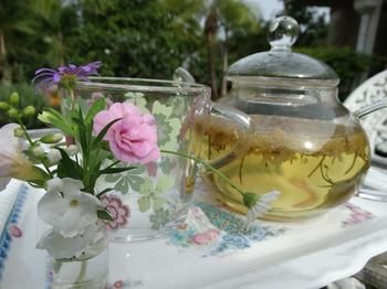 Noosa Valley Manor B&B Retreat - Tourism Caloundra 27