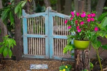 Noosa Valley Manor B&B Retreat - Tourism Caloundra 30