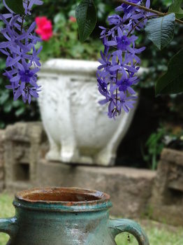 Noosa Valley Manor B&B Retreat - Tourism Caloundra 31