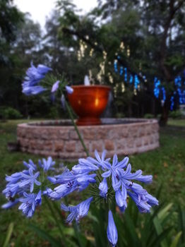 Noosa Valley Manor B&B Retreat - Tourism Caloundra 34