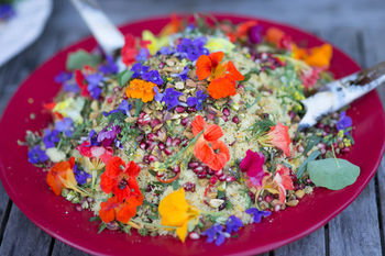 Noosa Valley Manor B&B Retreat - Tourism Caloundra 36