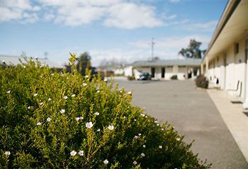Merivale Motel - Tourism Caloundra 1