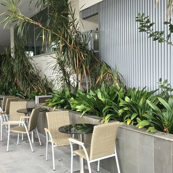 Best Western Premier Hotel 115 Kew - Tourism Caloundra 22