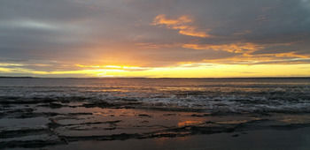 The Huskisson - Tourism Caloundra 13