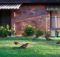 Crimson Villa - Tourism Caloundra
