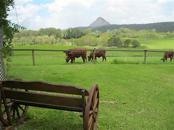 Blackwattle Farm B&B And Farm Stay - Tourism Caloundra 1