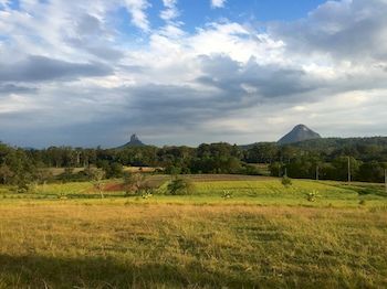 Blackwattle Farm B&B And Farm Stay - Tourism Caloundra 3