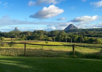 Blackwattle Farm B&B And Farm Stay - Tourism Caloundra 7