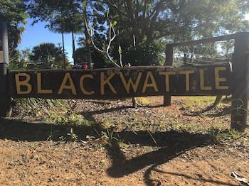 Blackwattle Farm B&B And Farm Stay - Tourism Caloundra 10