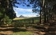 Blackwattle Farm B&B And Farm Stay - thumb 12