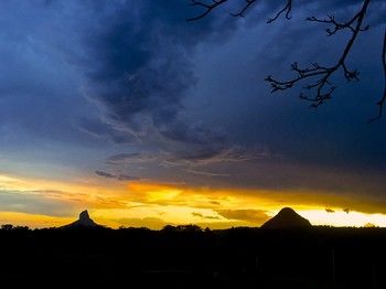 Blackwattle Farm B&B And Farm Stay - Tourism Caloundra 26