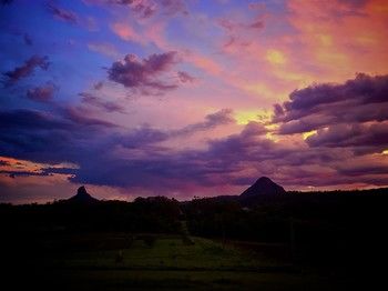 Blackwattle Farm B&B And Farm Stay - Tourism Caloundra 27