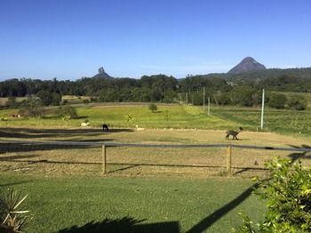 Blackwattle Farm B&B And Farm Stay - Tourism Caloundra 29