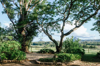 Blackwattle Farm B&B And Farm Stay - Tourism Caloundra 45