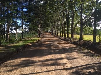 Blackwattle Farm B&B And Farm Stay - Tourism Caloundra 46