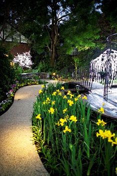 Elizabethan Lodge - Tourism Caloundra 2
