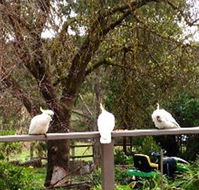 Australian Home Away  Wonga Park Brushy Creek - Tourism Caloundra