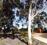 Box Hill Studios at Canterbury Gardens - Tourism Caloundra