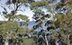 The Edgewater Bed & Breakfast - thumb 0