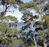 The Edgewater Bed amp Breakfast - Tourism Caloundra
