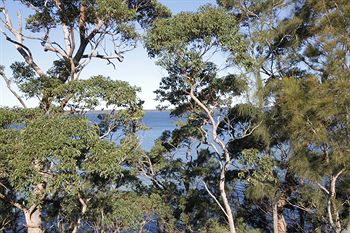 The Edgewater Bed & Breakfast - Tourism Caloundra 0