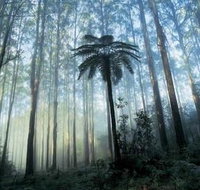 Tower Motel Marysville - Tourism Caloundra