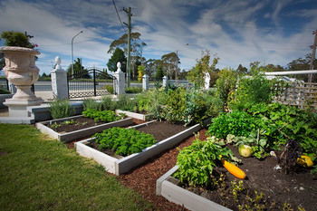 Katoomba Manor - Tourism Caloundra 23