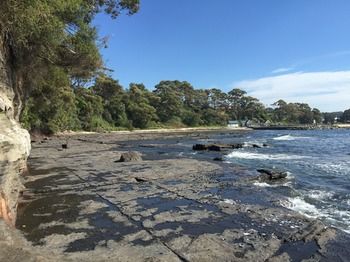 Ulladulla Harbour Motel - Tourism Caloundra 29