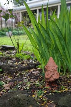 Holly Lane Mews - Tourism Caloundra 4