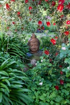 Holly Lane Mews - Tourism Caloundra 37