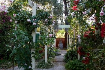 Holly Lane Mews - Tourism Caloundra 40