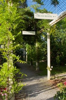 Holly Lane Mews - Tourism Caloundra 45