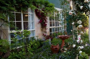 Holly Lane Mews - Tourism Caloundra 46