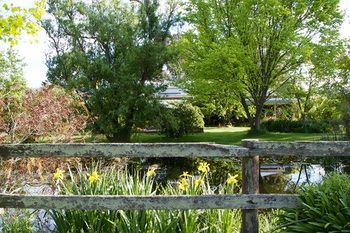 Holly Lane Mews - Tourism Caloundra 49