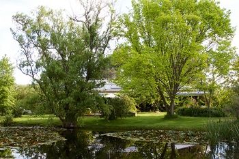 Holly Lane Mews - Tourism Caloundra 51