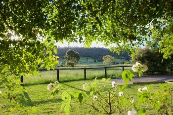Holly Lane Mews - Tourism Caloundra 54