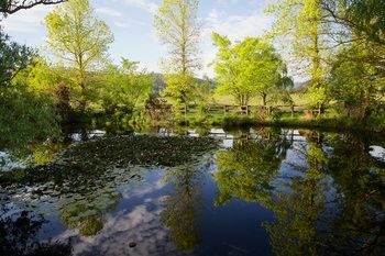 Holly Lane Mews - Tourism Caloundra 58