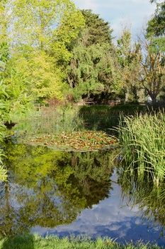 Holly Lane Mews - Tourism Caloundra 59