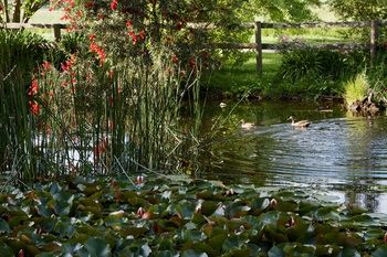 Holly Lane Mews - Tourism Caloundra 61